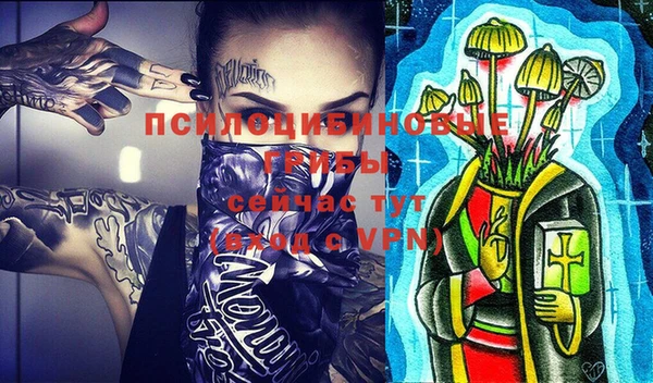 ПСИЛОЦИБИНОВЫЕ ГРИБЫ Дмитровск