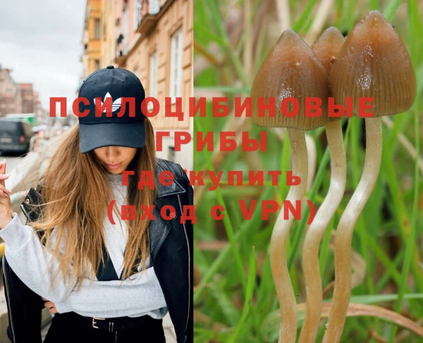 спайс Щучье