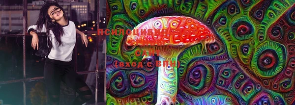 ПСИЛОЦИБИНОВЫЕ ГРИБЫ Дмитровск